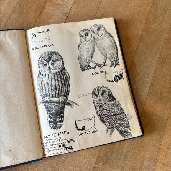 Vintage 60’s Owl Book - Picture 2 of 13